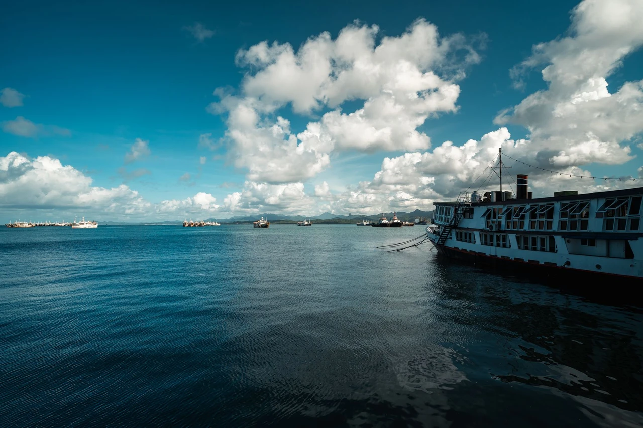 Boats docked in Suva Harbor, the capital of Fiji, under a clear sky